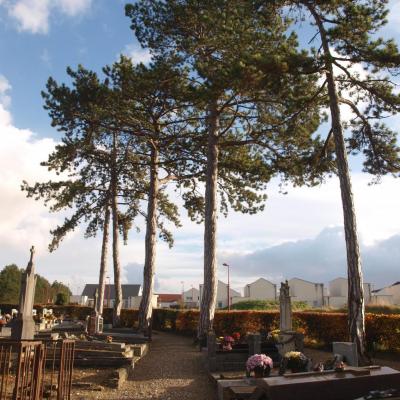 Caveau de la famille Saint