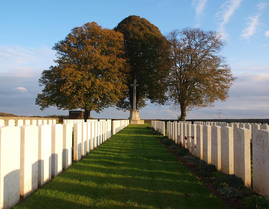 Arbre cimetiere britanique