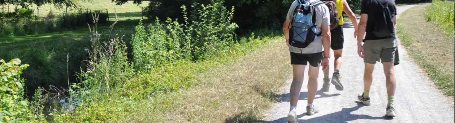 Les chemins de rando