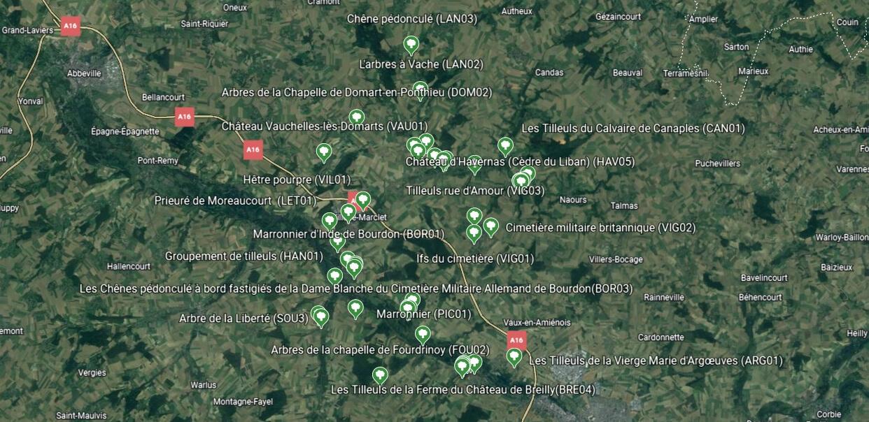 Carte arbres CCVN
