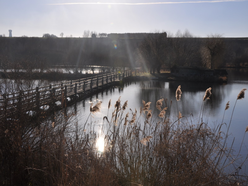 Marais des cavins - Bourdon