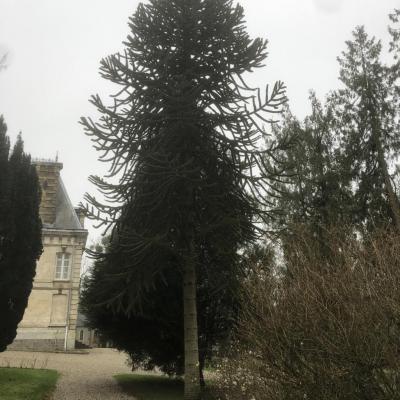 Château d'Havernas