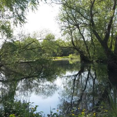 Marais tirancourt