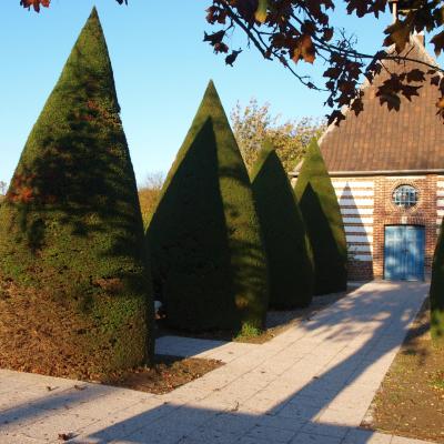 Cimetière de Vignacourt