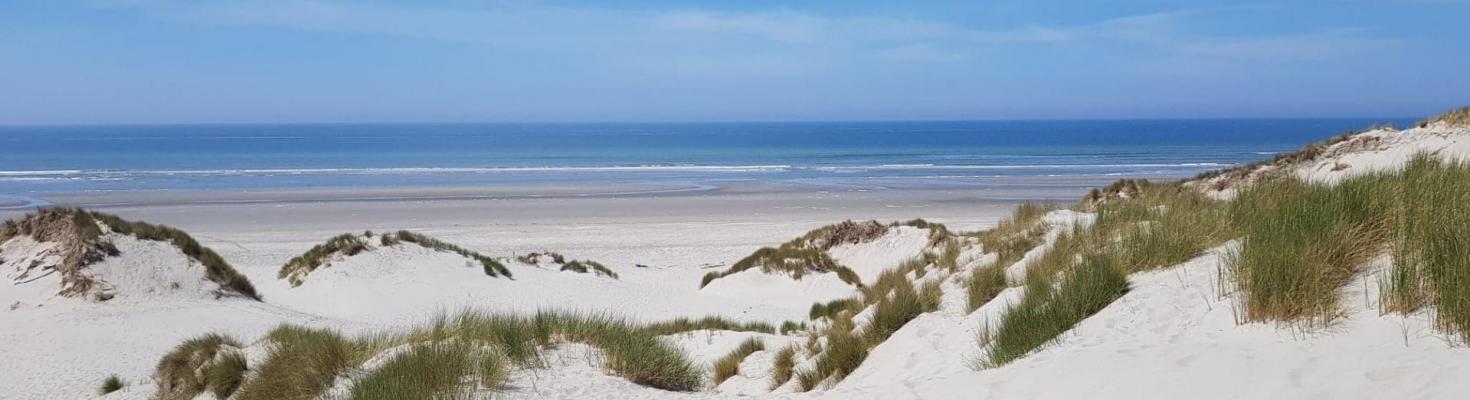 Plage baie de somme